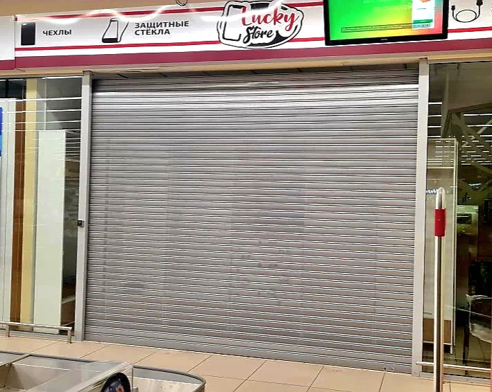 Роллетные ворота DoorHan в Липецке с установкой